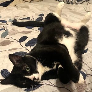 Meet your Posher, Kelsey